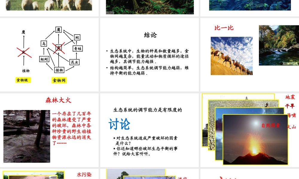 八年级生物上册 6.3 生态系统的自我调节课件 苏科版-苏科版初中八年级上册生物课件