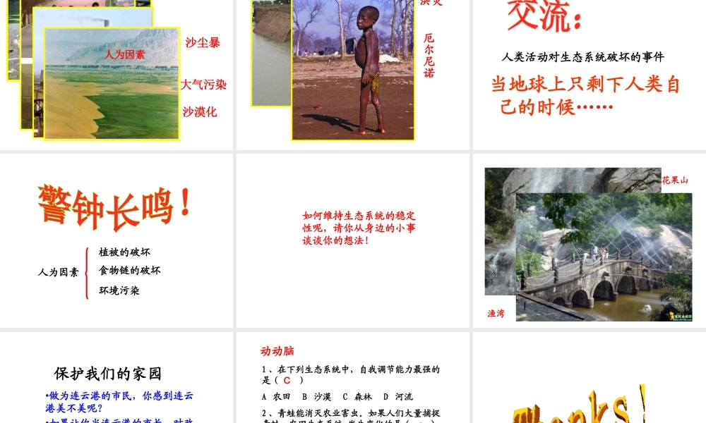 八年级生物上册 6.3 生态系统的自我调节课件 苏科版-苏科版初中八年级上册生物课件