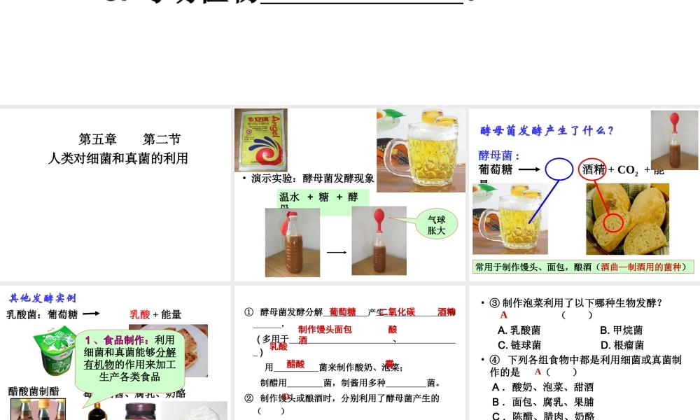 八年级生物上册 5.4.4 细菌和真菌在生物圈中的作用课件 （新版）新人教版-（新版）新人教版初中八年级上册生物课件