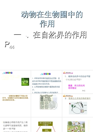 八年级生物上册 《动物在自然界中的作用》课件 人教新课标版