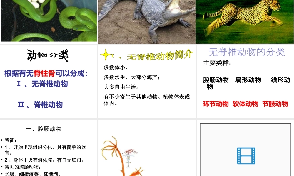 八年级生物上册 第14章 第2节 千姿百态的动物世界课件 （新版）苏教版-（新版）苏教级上册生物课件