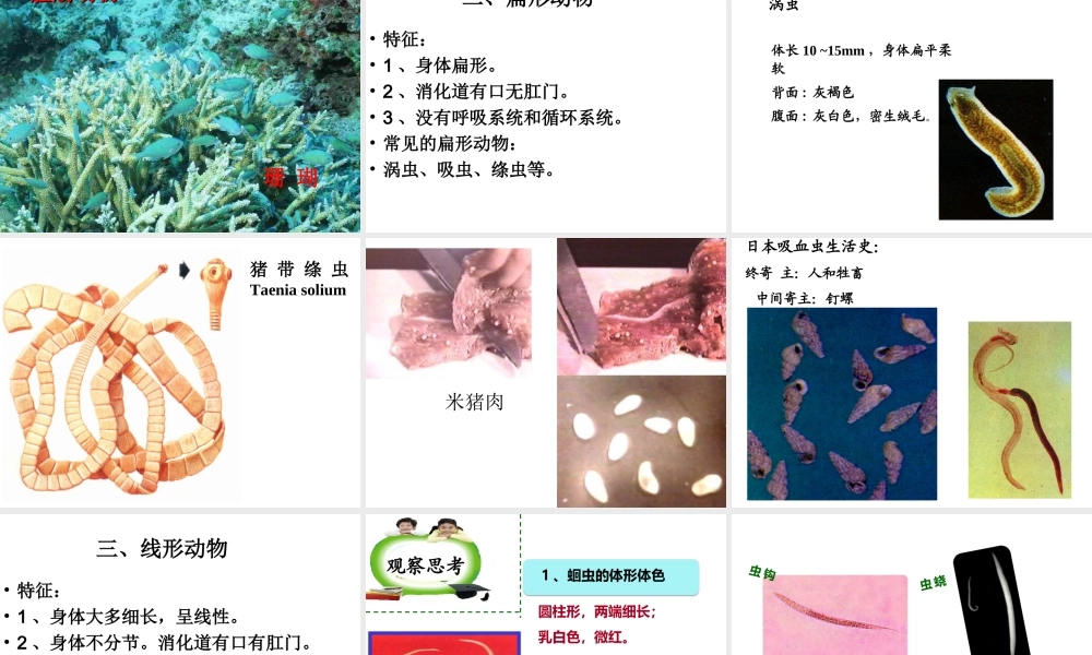 八年级生物上册 第14章 第2节 千姿百态的动物世界课件 （新版）苏教版-（新版）苏教级上册生物课件