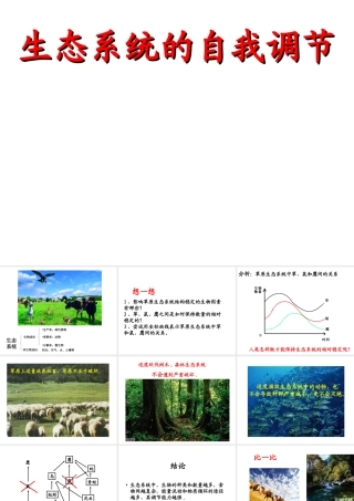 八年级生物上册 6.3 生态系统的自我调节课件 苏科版-苏科级上册生物课件