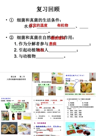 八年级生物上册 5.4.4 细菌和真菌在生物圈中的作用课件 （新版）新人教版-（新版）新人教级上册生物课件