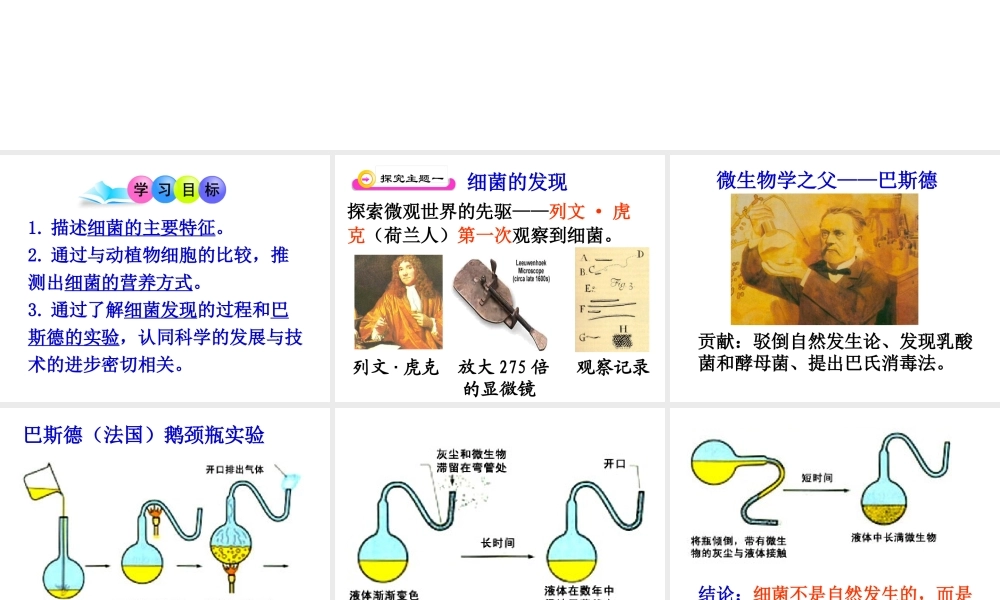 八年级生物上册 《细菌》课件 人教新课标版