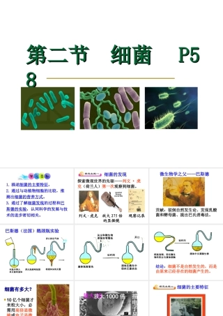 八年级生物上册 《细菌》课件 人教新课标版