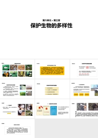 八年级生物上册 6.3《保护生物的多样性》教学课件 （新版）新人教版-（新版）新人教版初中八年级上册生物课件