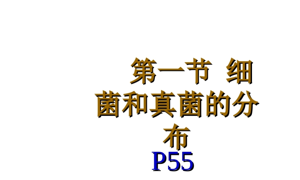 八年级生物上册 《细菌和真菌的分布》课件 人教新课标版