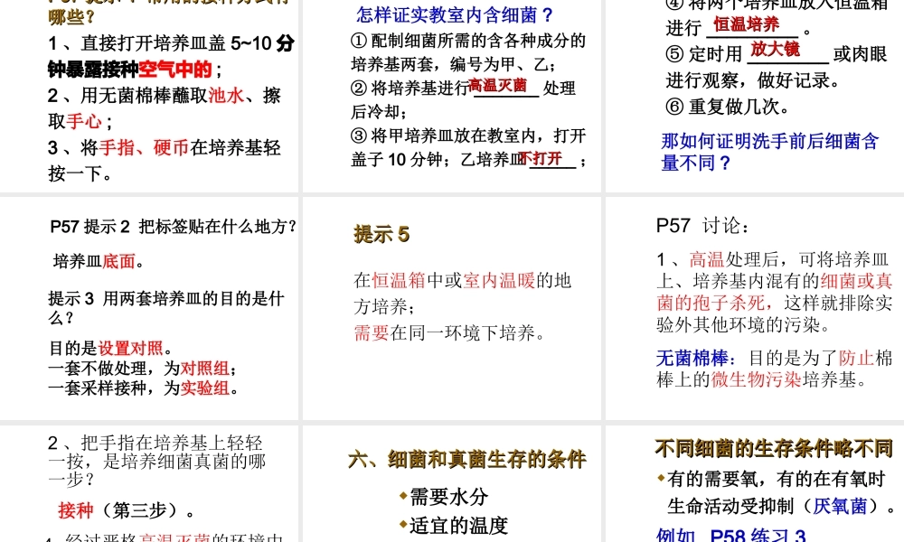 八年级生物上册 《细菌和真菌的分布》课件 人教新课标版