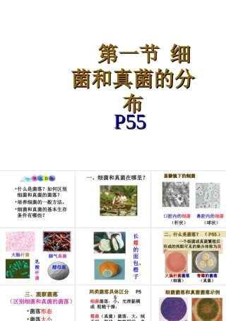 八年级生物上册 《细菌和真菌的分布》课件 人教新课标版
