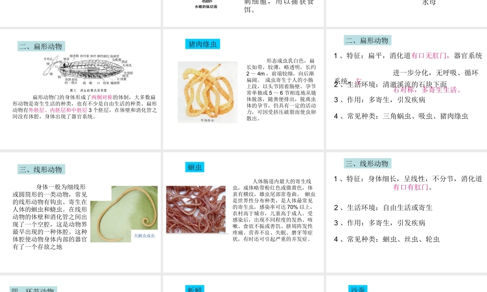 八年级生物上册 第14章 第2节千姿百态的动物世界课件 （新版）苏教版-（新版）苏教版初中八年级上册生物课件