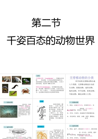 八年级生物上册 第14章 第2节千姿百态的动物世界课件 （新版）苏教版-（新版）苏教版初中八年级上册生物课件
