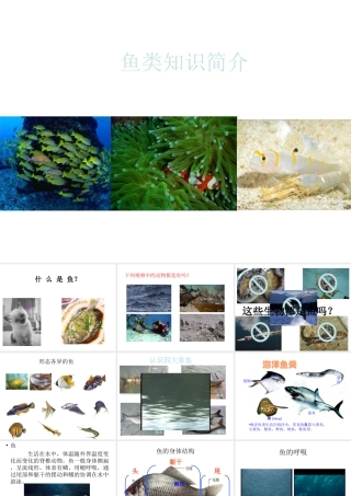 八年级生物上册 5.1.4 鱼类课件 （新版）新人教版-（新版）新人教级上册生物课件