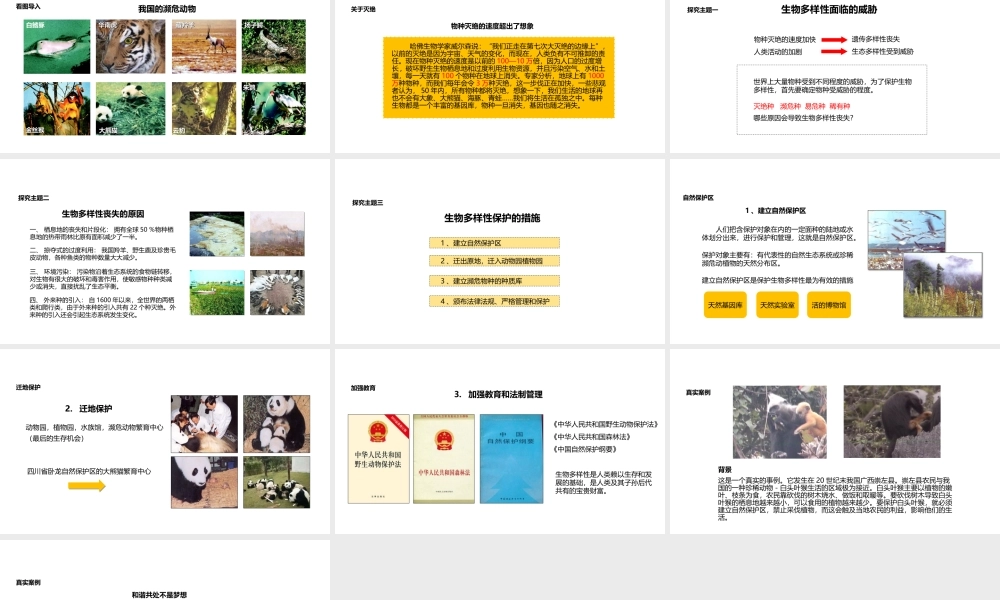 八年级生物上册 6.3《保护生物的多样性》教学课件 （新版）新人教版-（新版）新人教级上册生物课件