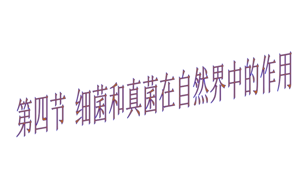 八年级生物上册 5.4.4 细菌和真菌在自然界的作用课件 （新版）新人教版-（新版）新人教版初中八年级上册生物课件