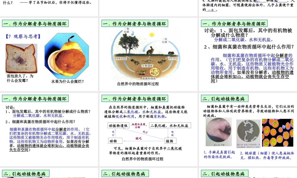 八年级生物上册 5.4.4 细菌和真菌在自然界的作用课件 （新版）新人教版-（新版）新人教版初中八年级上册生物课件