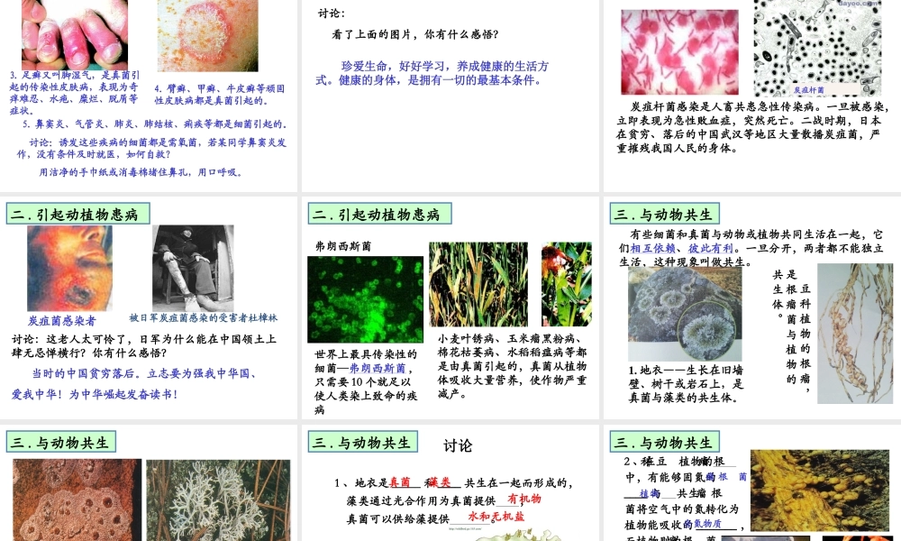 八年级生物上册 5.4.4 细菌和真菌在自然界的作用课件 （新版）新人教版-（新版）新人教版初中八年级上册生物课件
