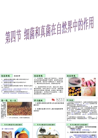 八年级生物上册 5.4.4 细菌和真菌在自然界的作用课件 （新版）新人教版-（新版）新人教版初中八年级上册生物课件
