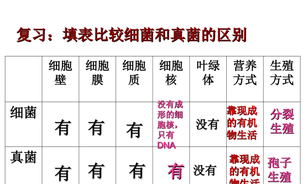 八年级生物上册 《细菌和真菌在自然界中的作用》课件 新人教版