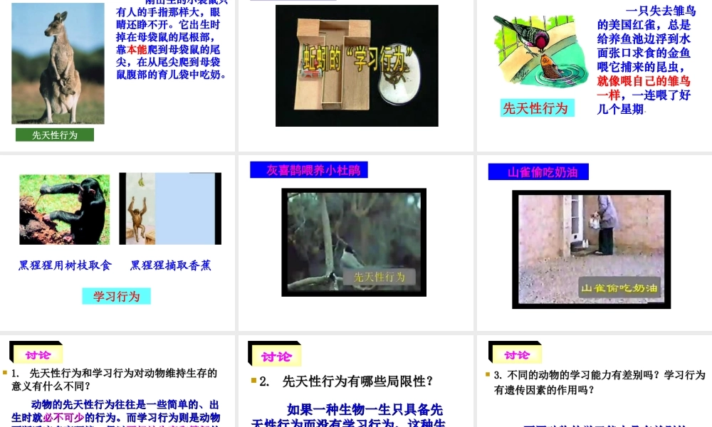 八年级生物上册 《先天性行为和学习行为》课件 人教新课标版