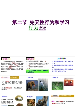 八年级生物上册 《先天性行为和学习行为》课件 人教新课标版