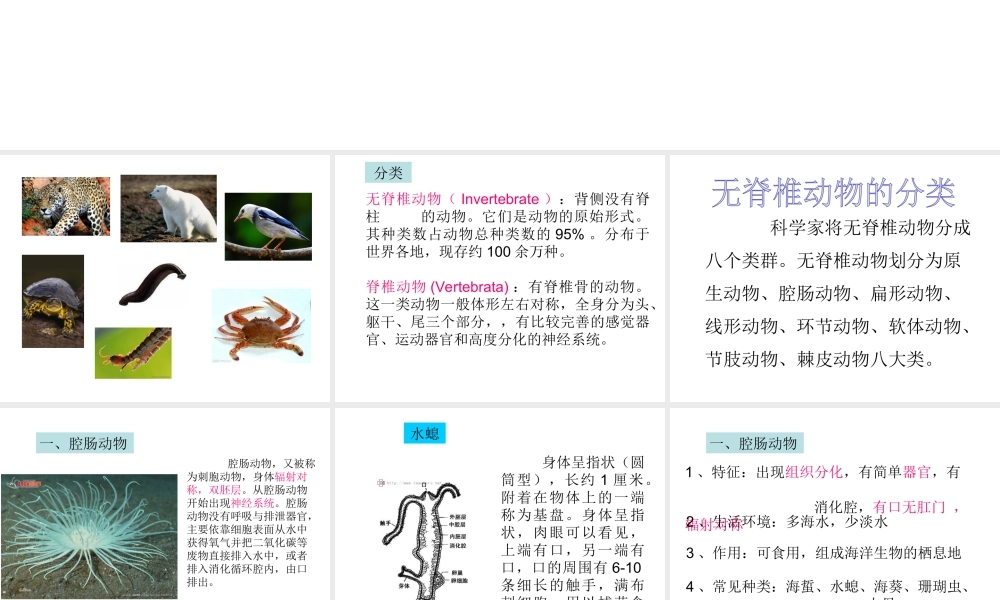 八年级生物上册 第14章 第2节千姿百态的动物世界课件 （新版）苏教版-（新版）苏教级上册生物课件
