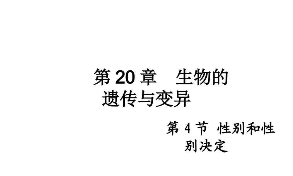 八年级生物上册 《性别和性别决定》课件1 （新版）北师大版-（新版）北师大级上册生物课件