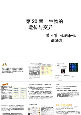 八年级生物上册 《性别和性别决定》课件1 （新版）北师大版-（新版）北师大级上册生物课件