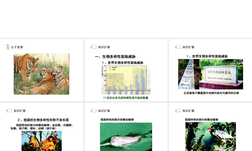 八年级生物上册 6.3《保护生物的多样性》课件1 人教新课标版