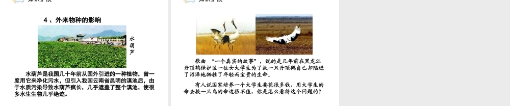 八年级生物上册 6.3《保护生物的多样性》课件1 人教新课标版