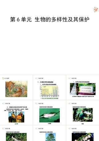 八年级生物上册 6.3《保护生物的多样性》课件1 人教新课标版