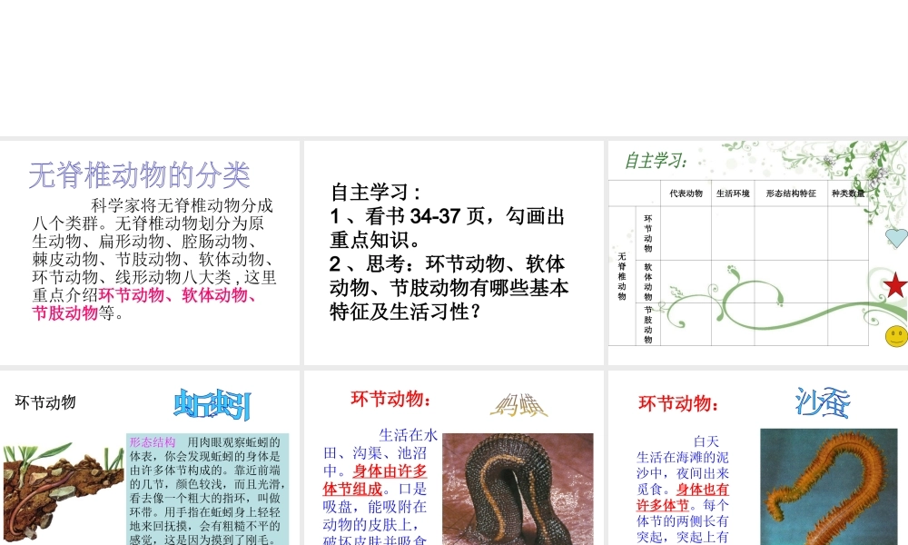 八年级生物上册 第14章 第2节千姿百态的动物世界课件课件 （新版）苏教版-（新版）苏教版初中八年级上册生物课件