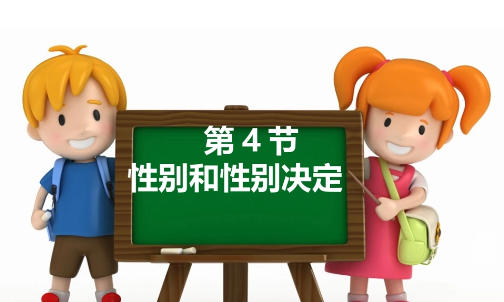 八年级生物上册 《性别和性别决定》课件2 （新版）北师大版-（新版）北师大级上册生物课件