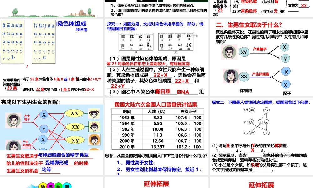 八年级生物上册 《性别和性别决定》课件2 （新版）北师大版-（新版）北师大级上册生物课件