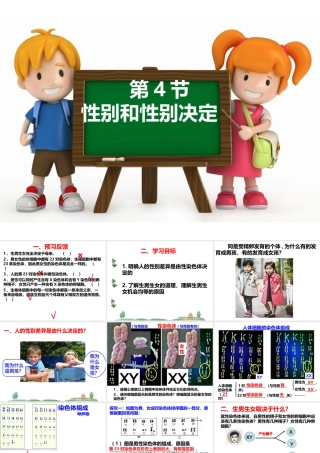 八年级生物上册 《性别和性别决定》课件2 （新版）北师大版-（新版）北师大级上册生物课件