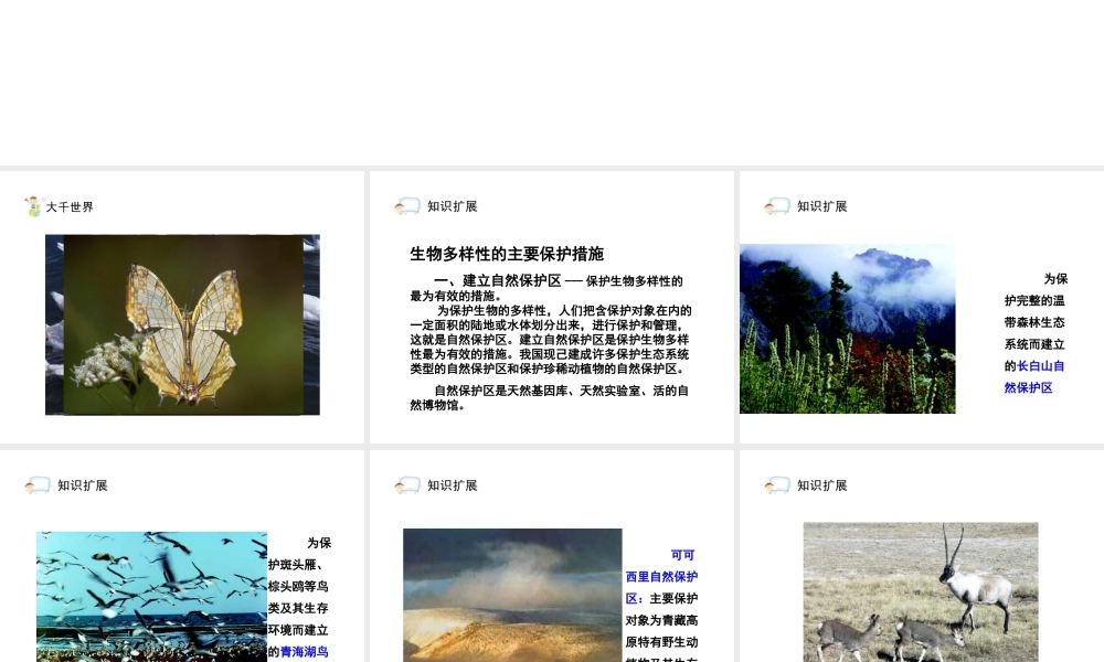 八年级生物上册 6.3《保护生物的多样性》课件2 人教新课标版