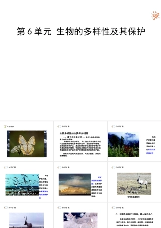 八年级生物上册 6.3《保护生物的多样性》课件2 人教新课标版