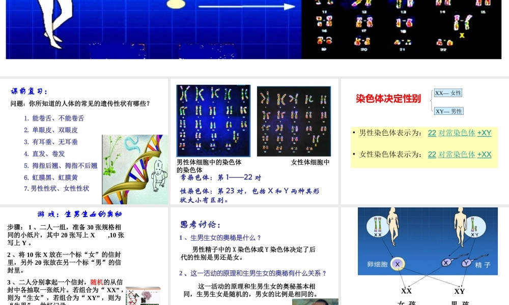 八年级生物上册 《性别和性别决定》课件4 （新版）北师大版-（新版）北师大级上册生物课件