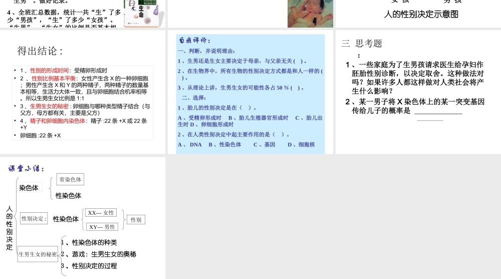 八年级生物上册 《性别和性别决定》课件4 （新版）北师大版-（新版）北师大级上册生物课件