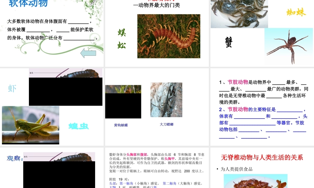 八年级生物上册 第14章 第2节千姿百态的动物世界课件课件 （新版）苏教版-（新版）苏教级上册生物课件