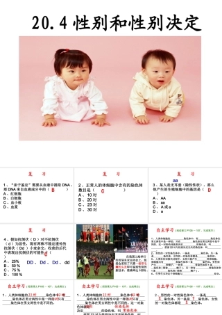 八年级生物上册 《性别和性别决定》课件5 （新版）北师大版-（新版）北师大级上册生物课件