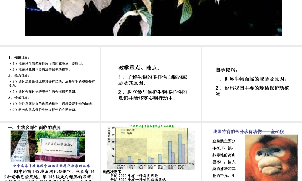 八年级生物上册 6.3《保护生物的多样性》课件3 （新版）新人教版-（新版）新人教版初中八年级上册生物课件