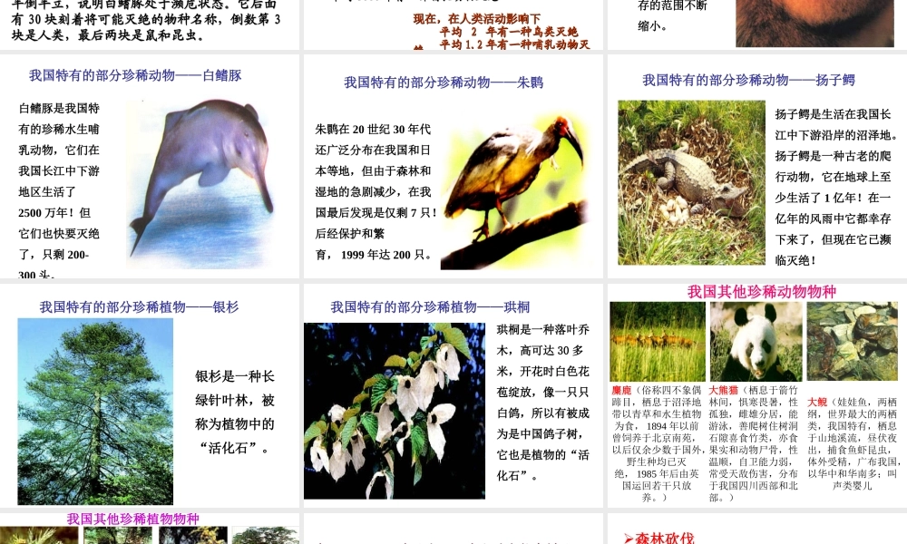 八年级生物上册 6.3《保护生物的多样性》课件3 （新版）新人教版-（新版）新人教版初中八年级上册生物课件