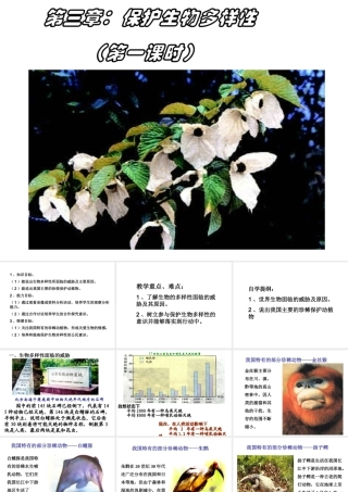 八年级生物上册 6.3《保护生物的多样性》课件3 （新版）新人教版-（新版）新人教版初中八年级上册生物课件