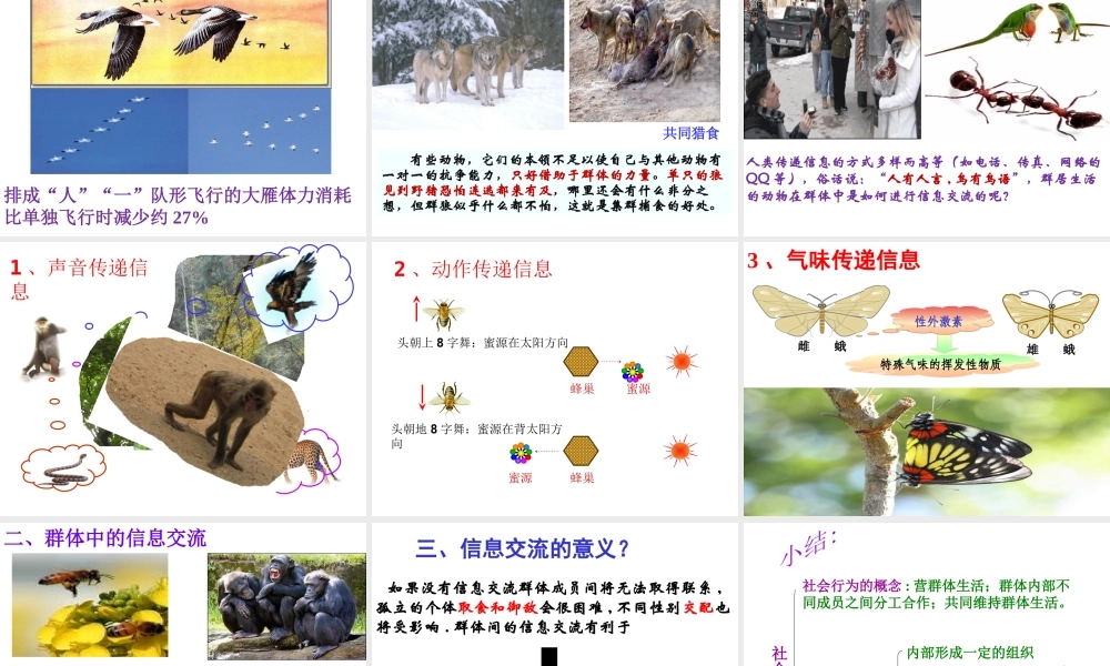 八年级生物上册 5.2.3《社会行为》课件3 （新版）新人教版-（新版）新人教级上册生物课件