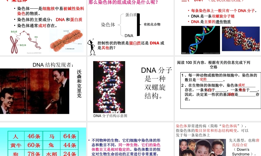 八年级生物上册 《性状遗传的物质基础》课件1 （新版）北师大版-（新版）北师大级上册生物课件