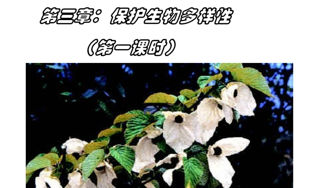 八年级生物上册 6.3《保护生物的多样性》课件3 （新版）新人教版-（新版）新人教级上册生物课件