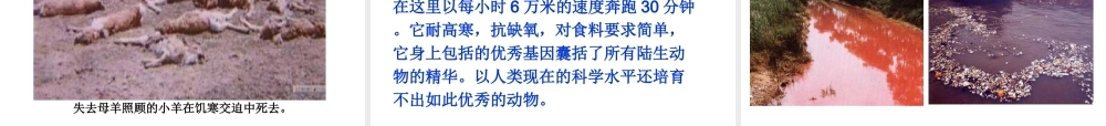 八年级生物上册 6.3《保护生物的多样性》课件3 （新版）新人教版-（新版）新人教级上册生物课件