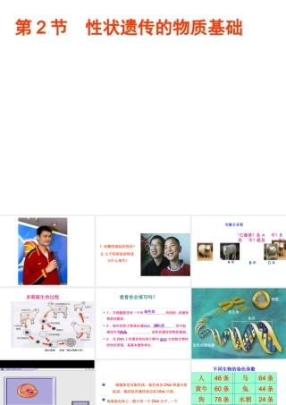 八年级生物上册 《性状遗传的物质基础》课件2 （新版）北师大版-（新版）北师大级上册生物课件