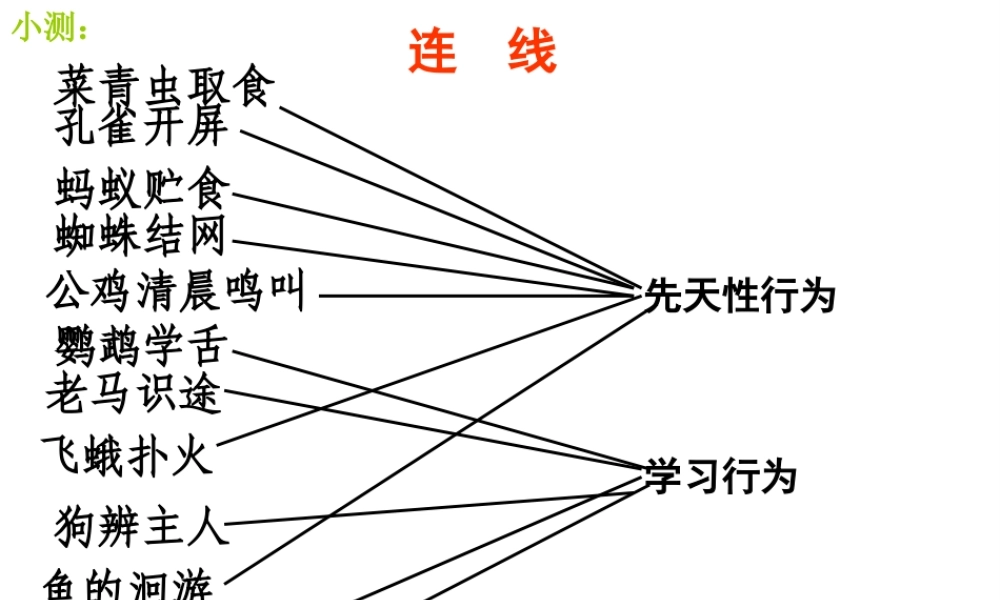 八年级生物上册 5.2.3《社会行为》课件4 （新版）新人教版-（新版）新人教版初中八年级上册生物课件